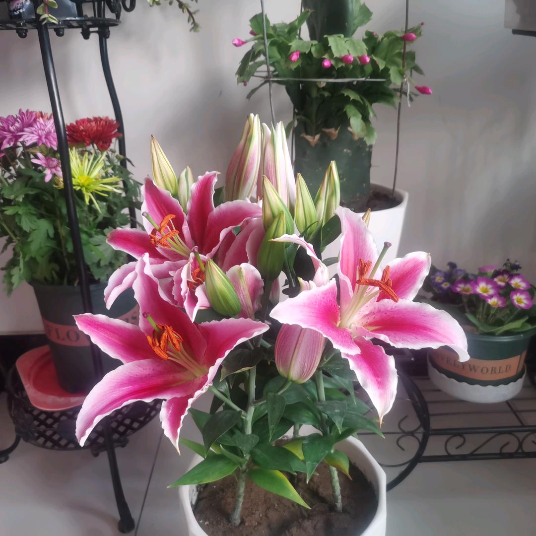 开心快乐☀️海哥