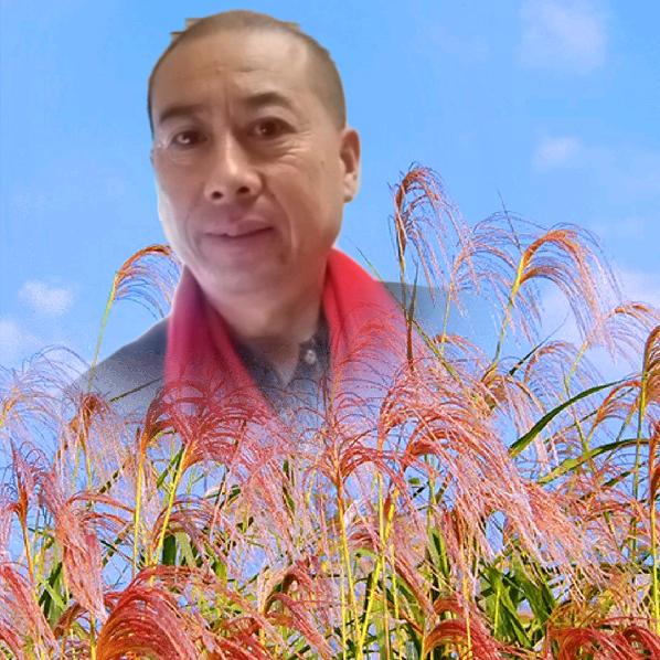 跨越