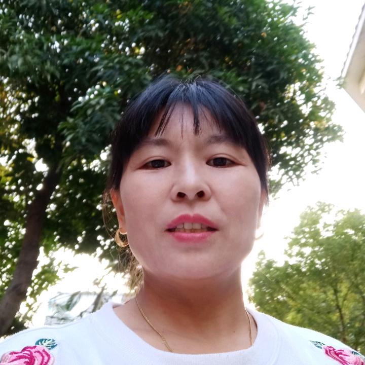 琴琴