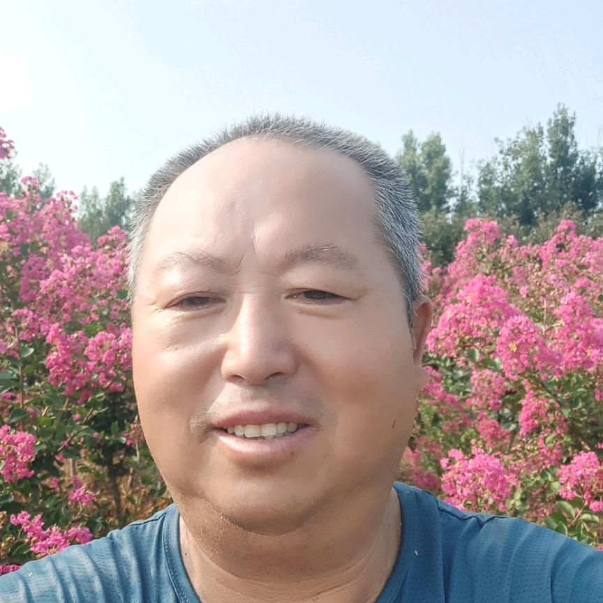 王歌