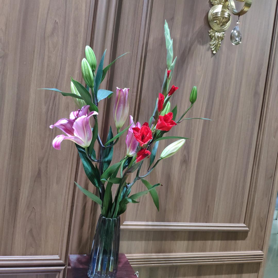 开开心心过一生