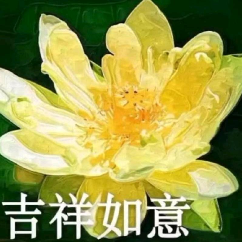 宏宇蓝光门窗