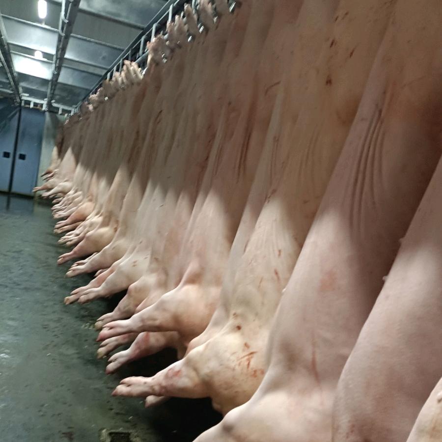 河南肉食