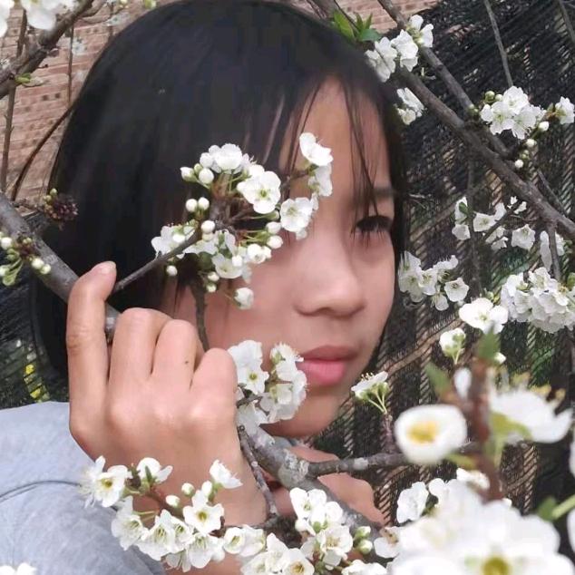 何家二少