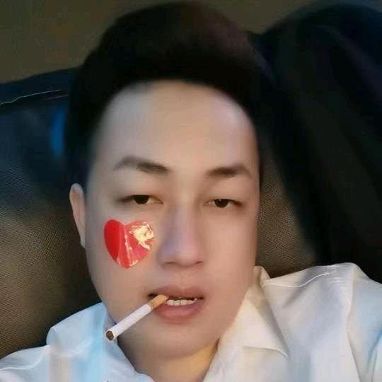 断了翅膀的鸭子