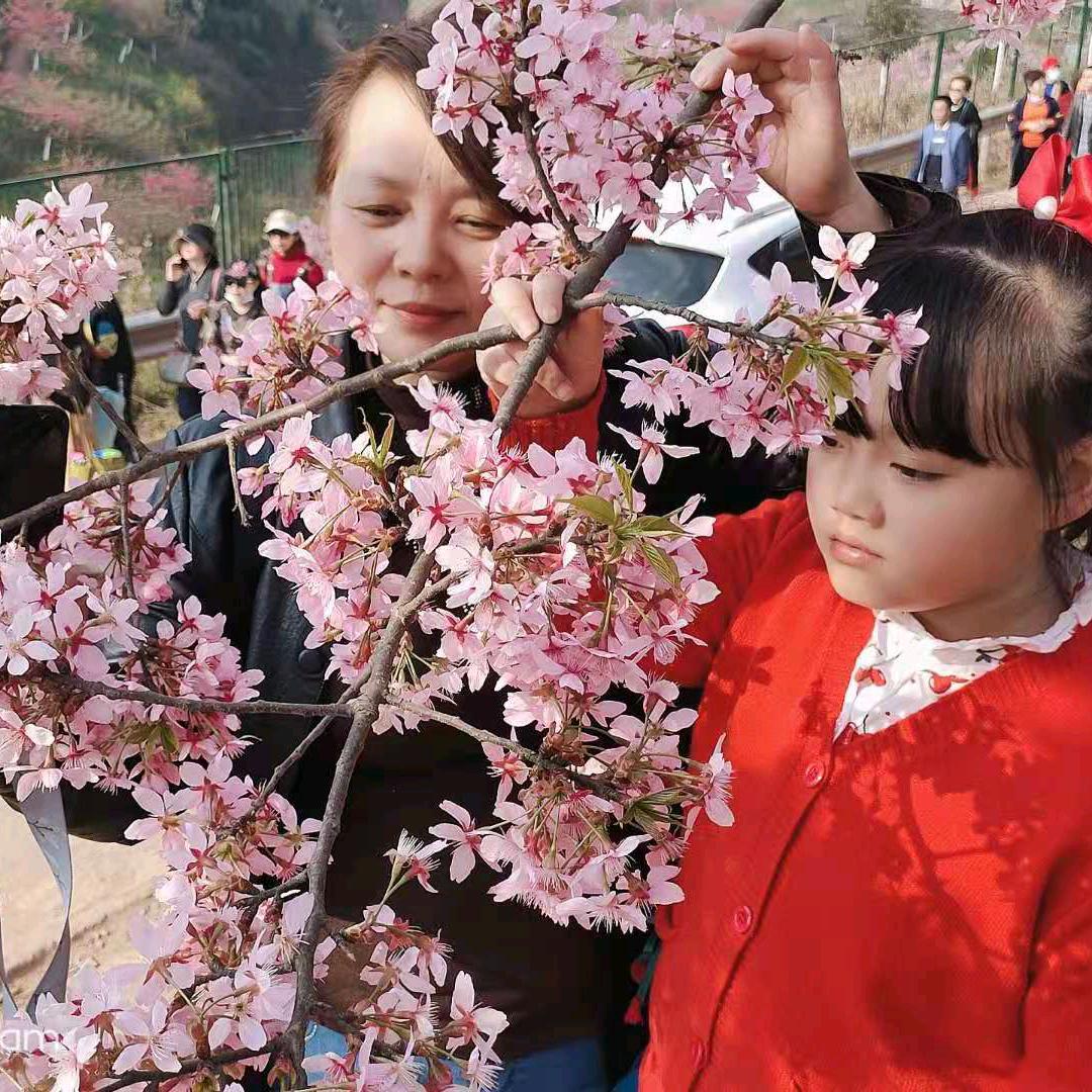 英子