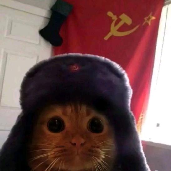 🔥-『灰化肥挥发会发黑～