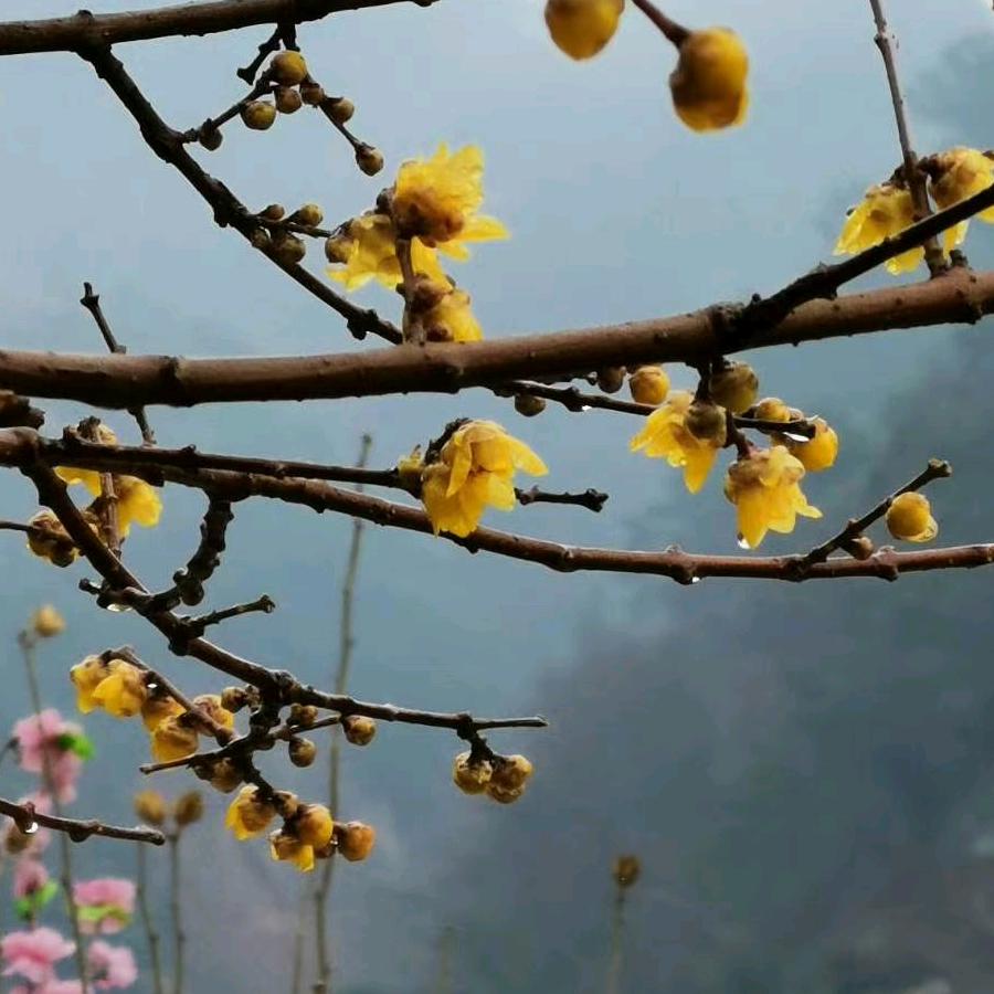 向东