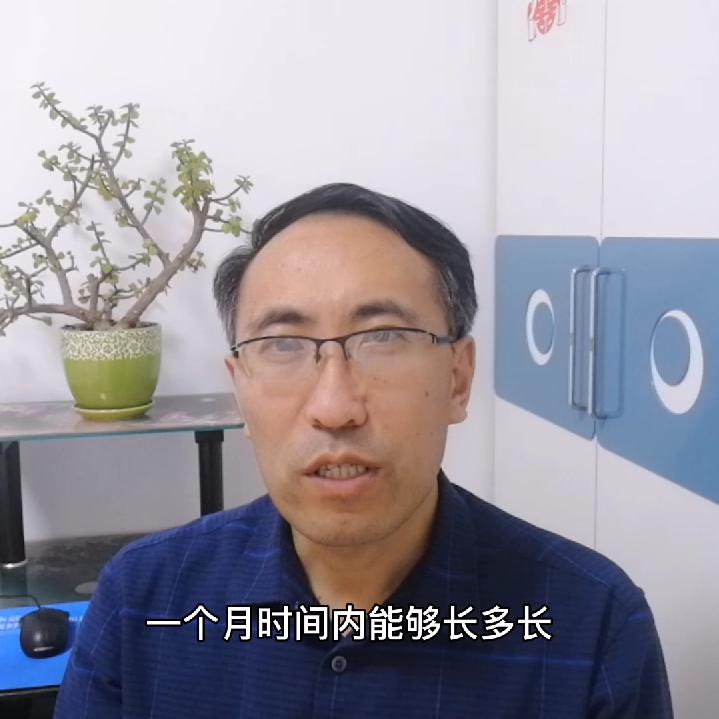 北大西洋