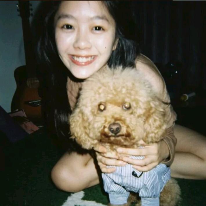 li Dai