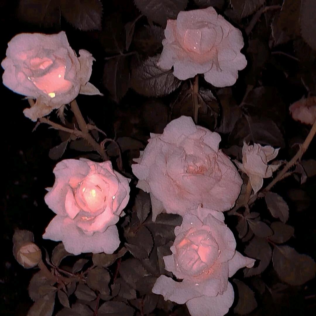 এۣۖ残影ღ💞