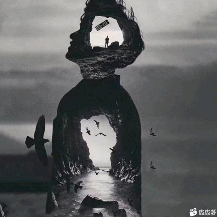 网友小杨