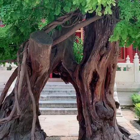 山的那一边！！