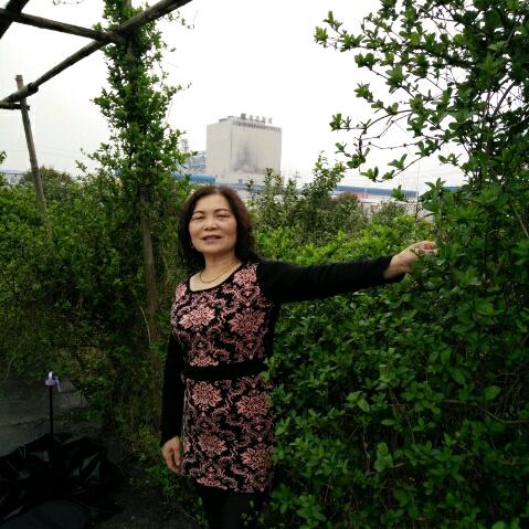 小宝奶奶: