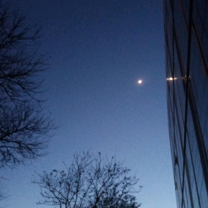 海岸星空