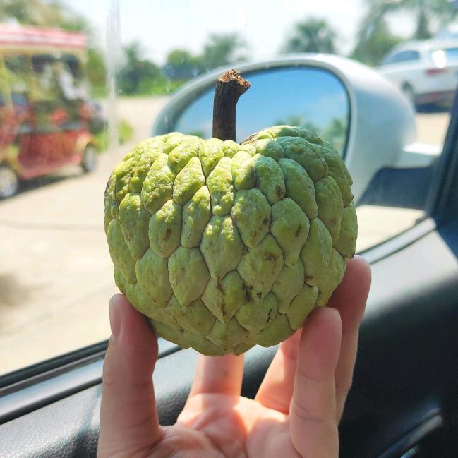 发财林檎果