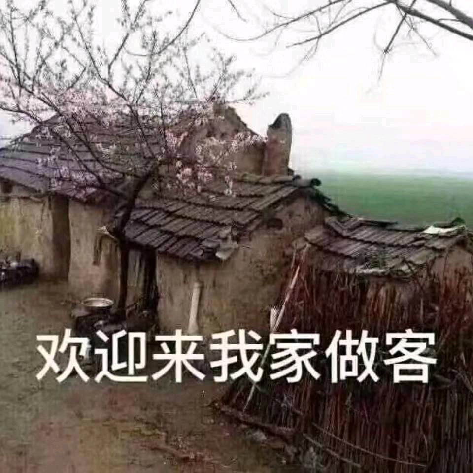 荷塘月色