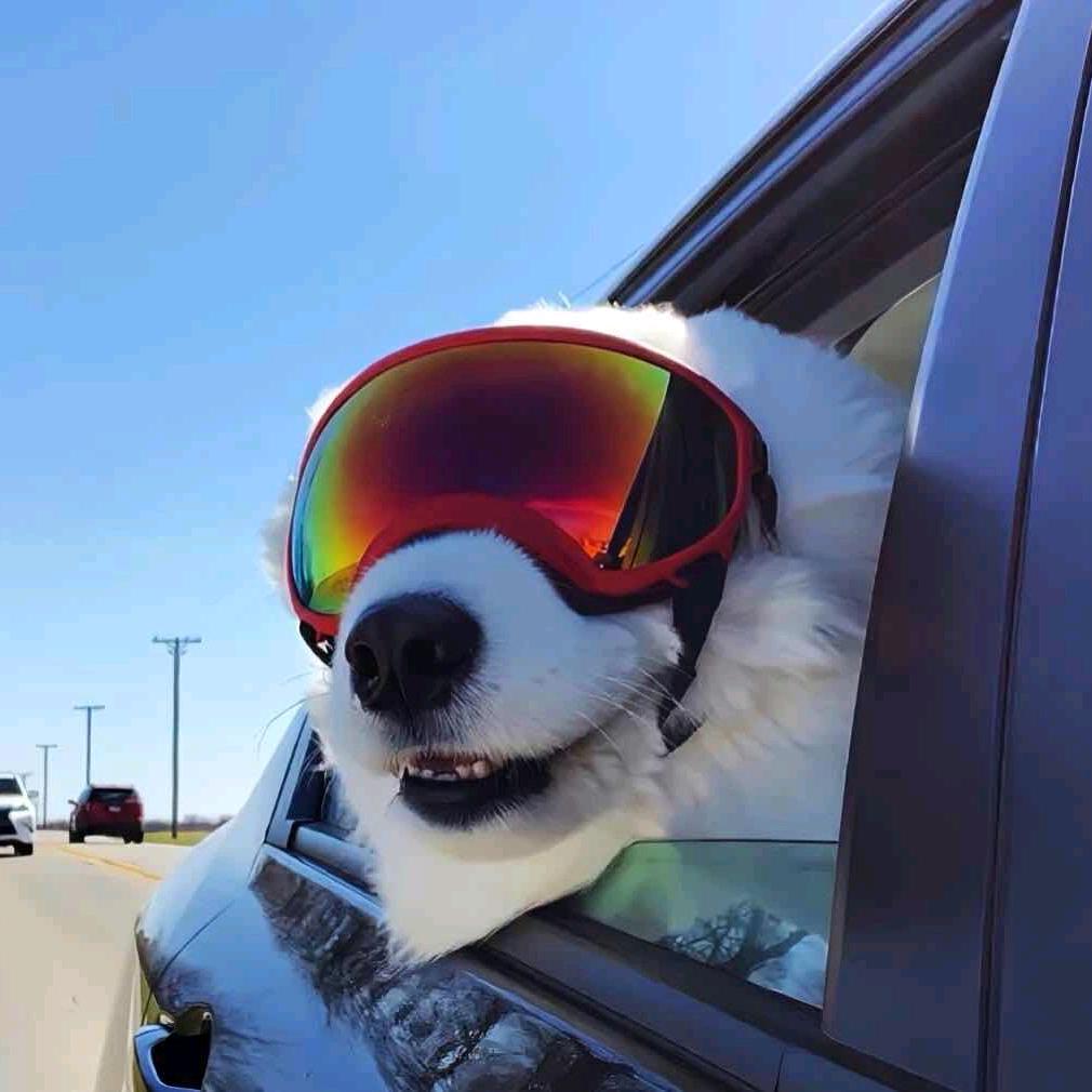 五星上将奥德飙