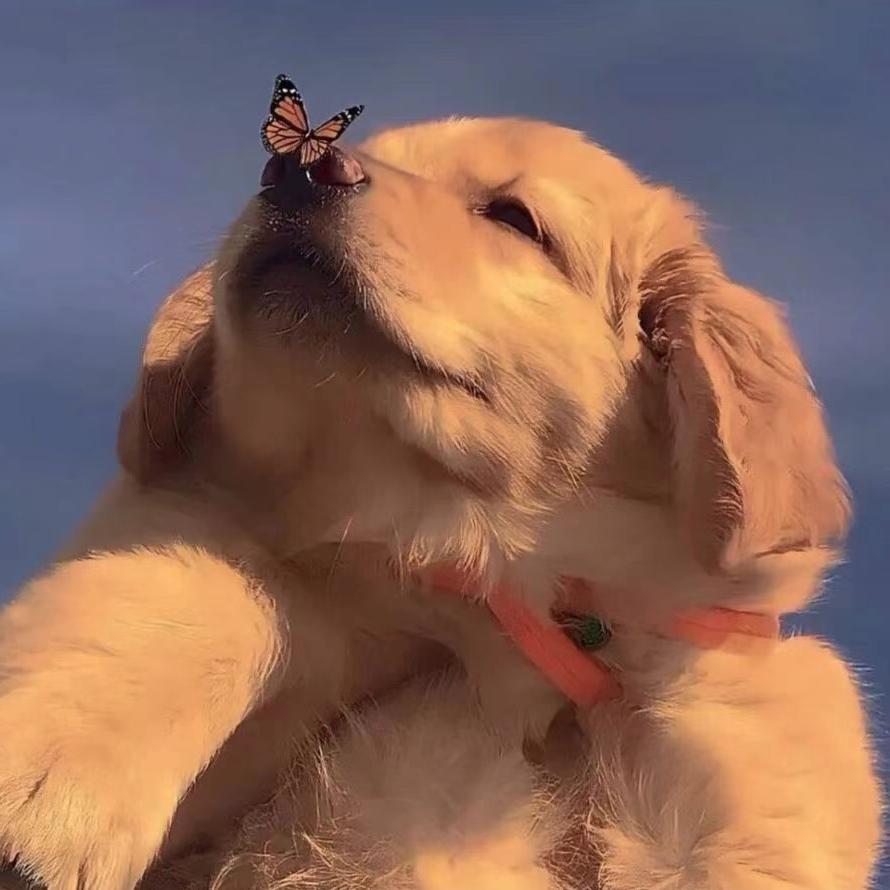 次奥次奥吃饱了