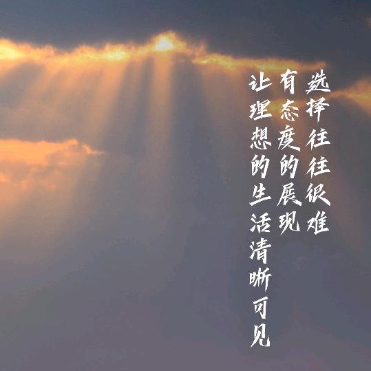 咋玩好🌙