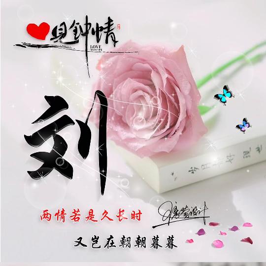 🌸๑˙❥˙๑明天会更好๑˙❥˙♀