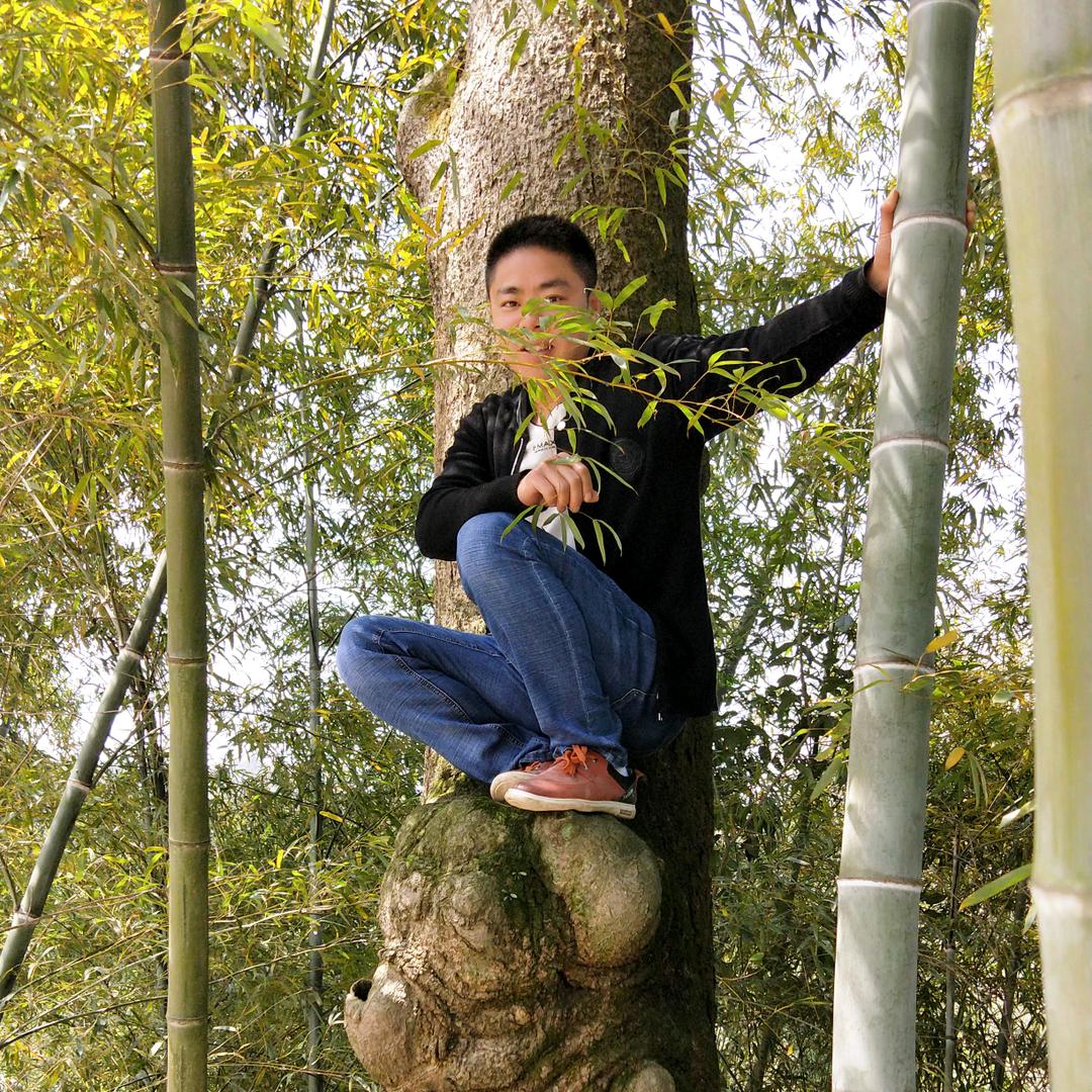 瓶 瓶 罐 罐