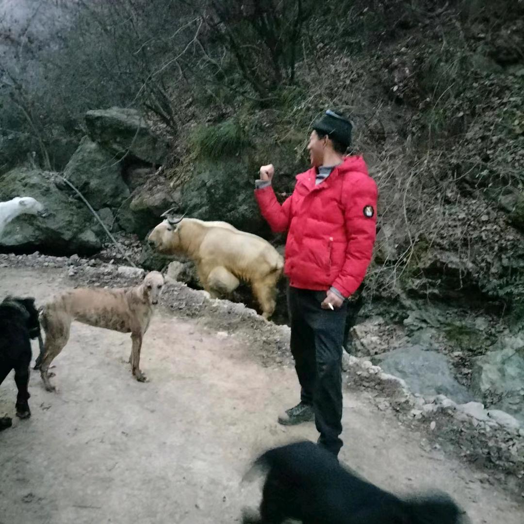 李刚猕猴桃代办