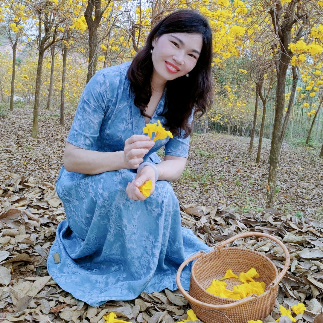 🌾青春的旋律