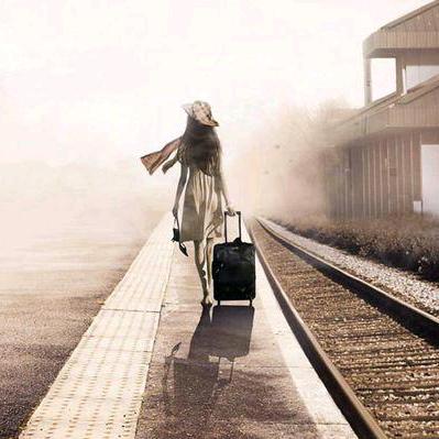 小狐狸(ง •̀_•́)ง