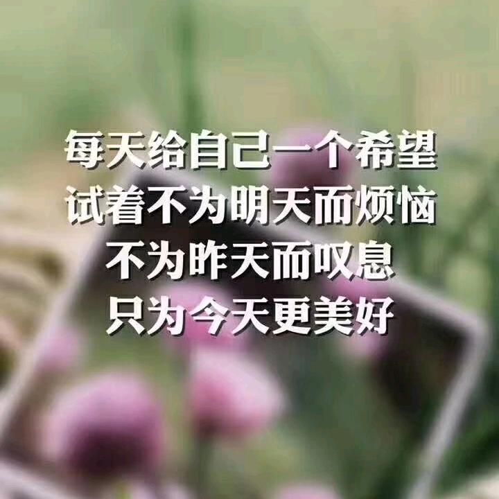 如风岁月