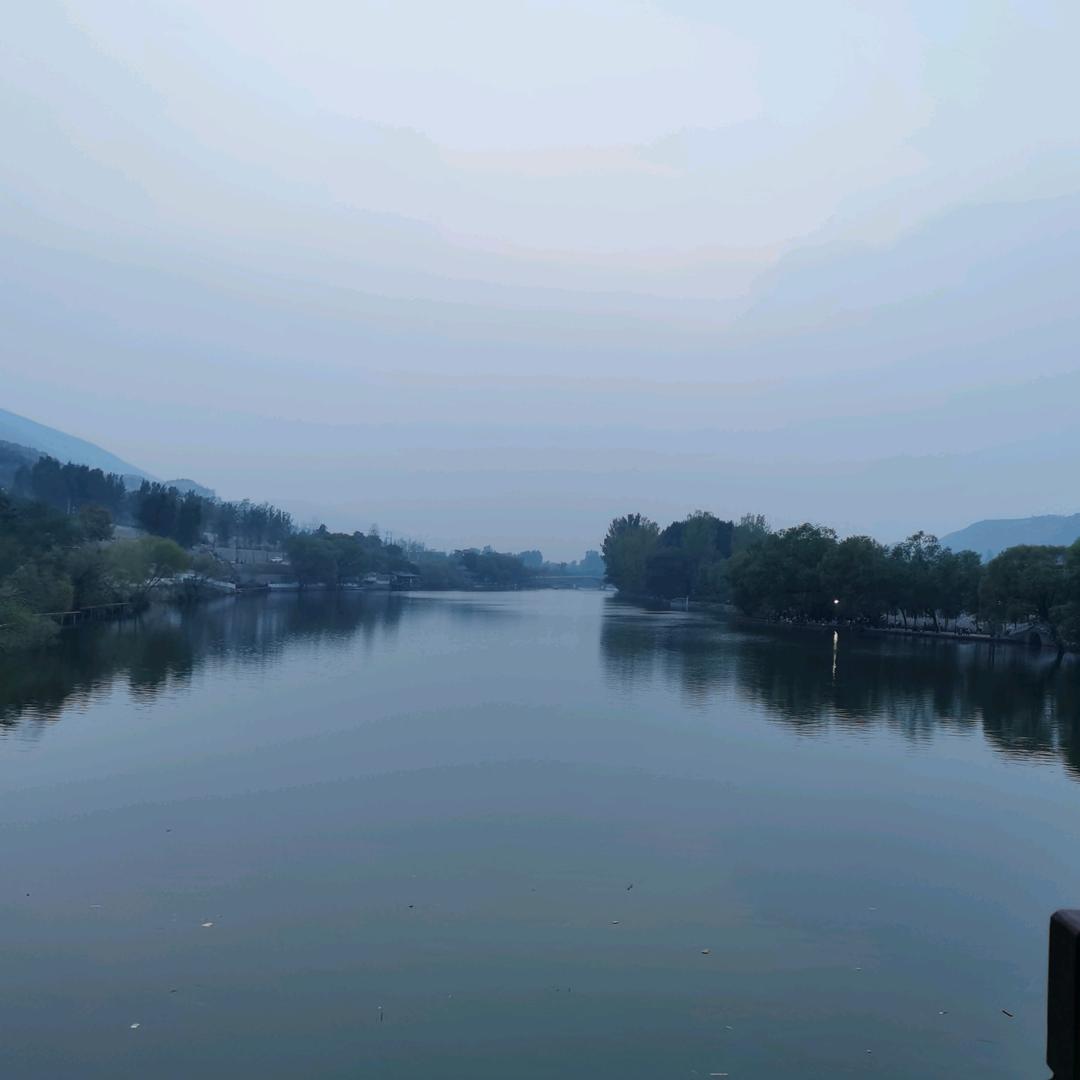 小卢-同志