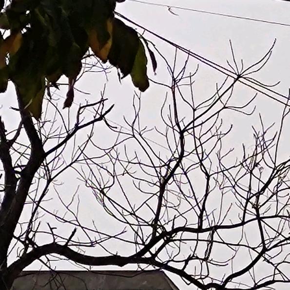 沙滩