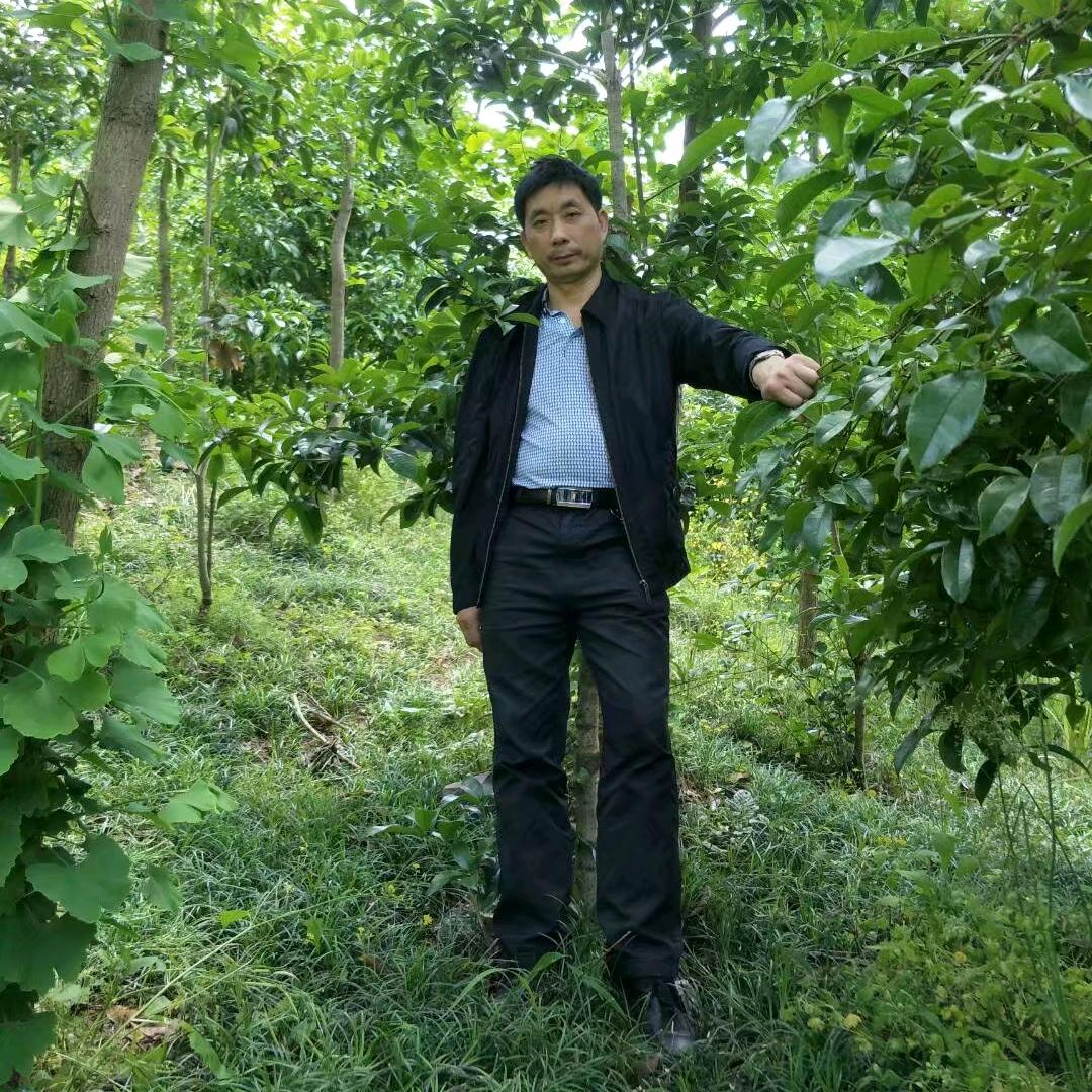 →吴 风不起浪@