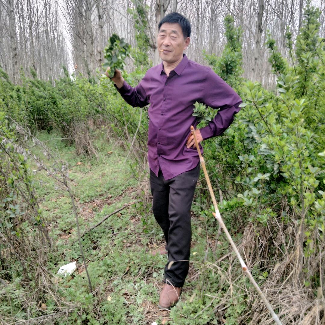 一路行