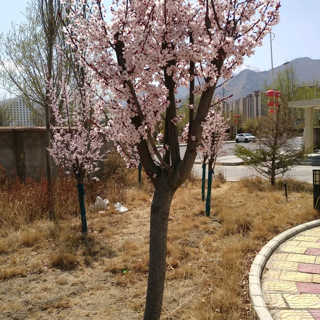 用户287322853543伤心又快乐