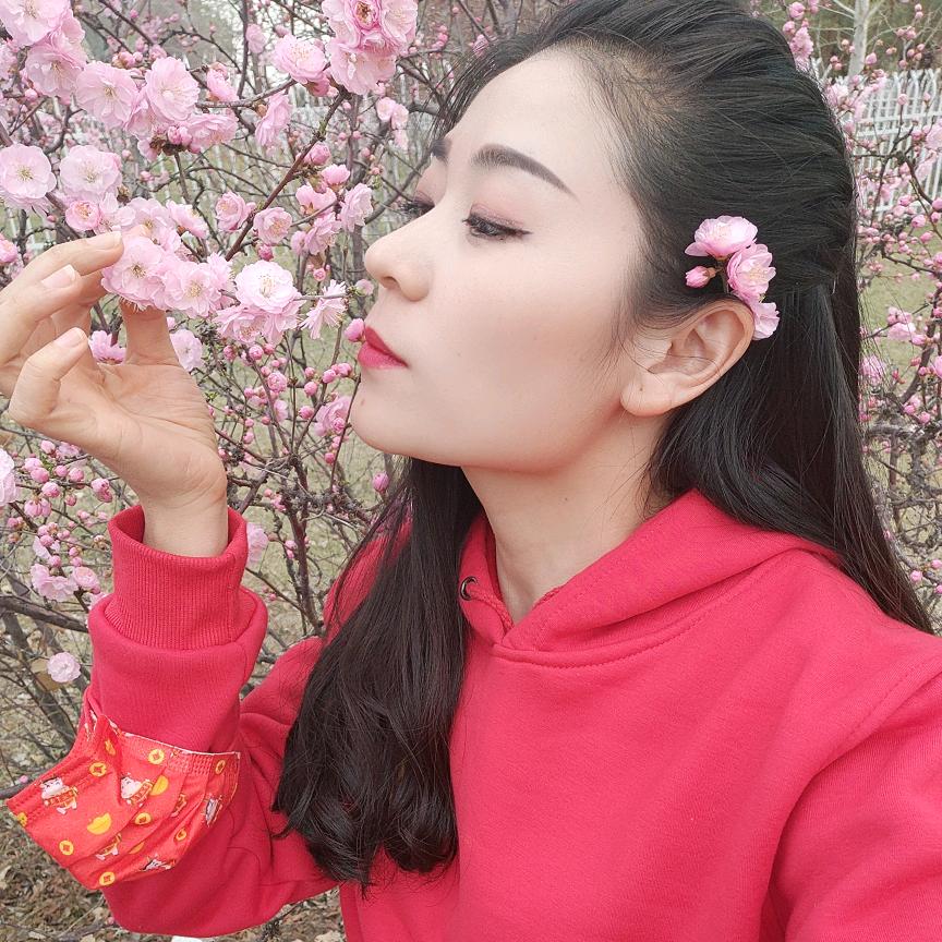 玫瑰