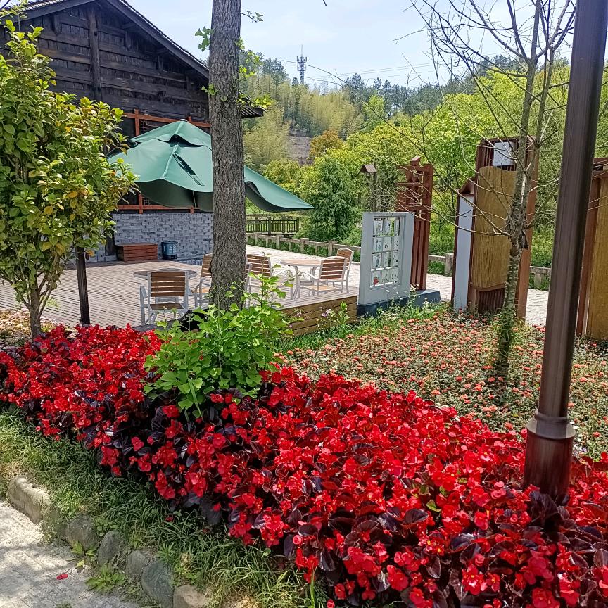 用户张