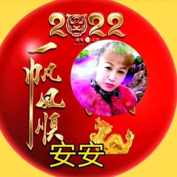安安 221
