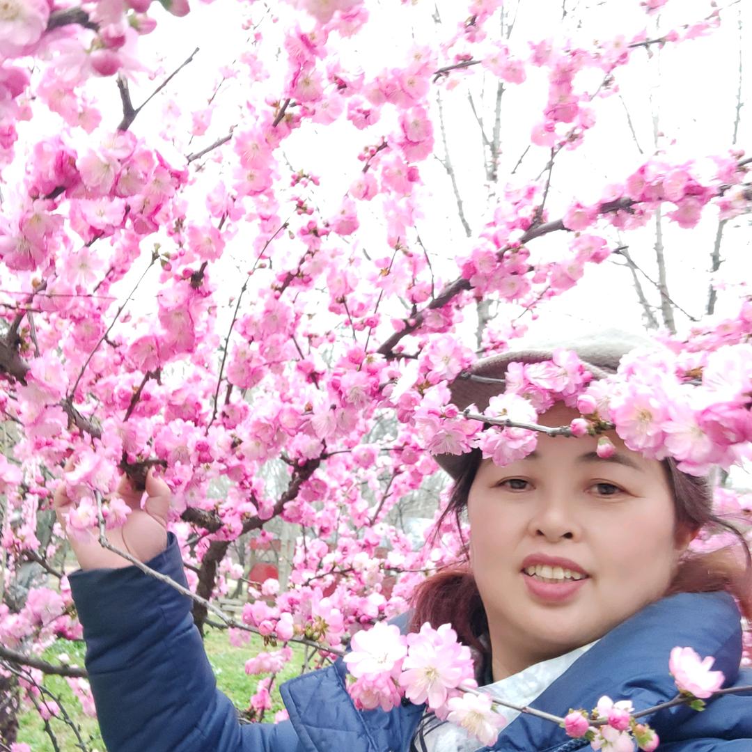 龙家女
