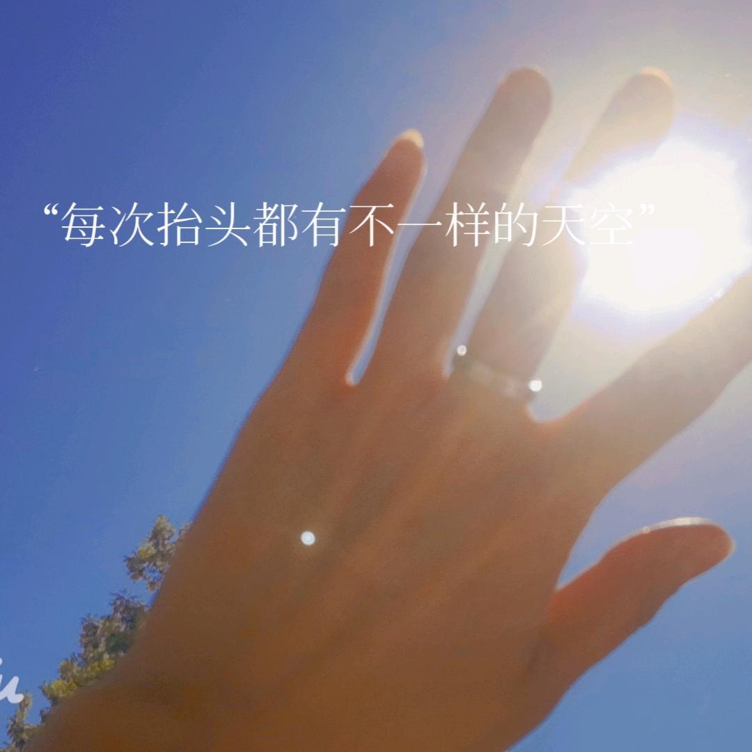 黄豆豆