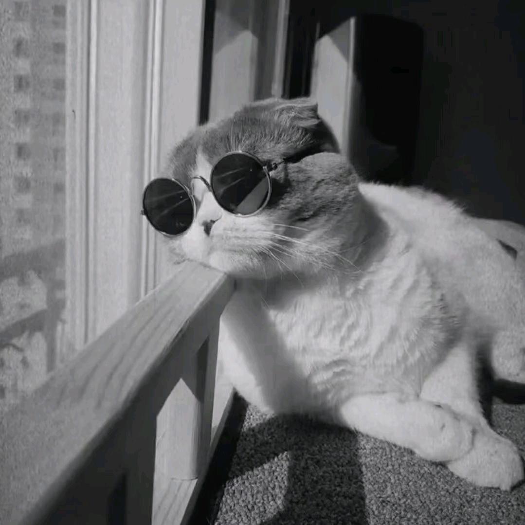 原来我已流浪了如此之久。