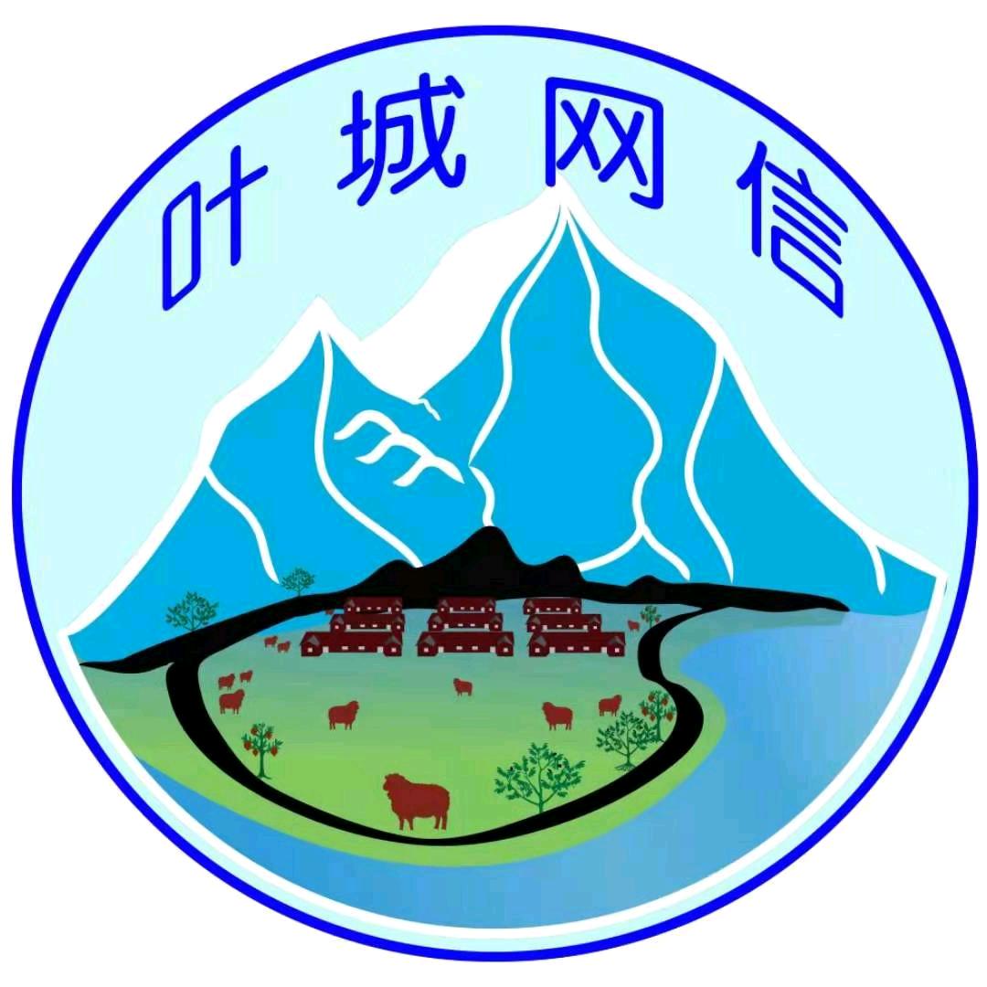叶城网信