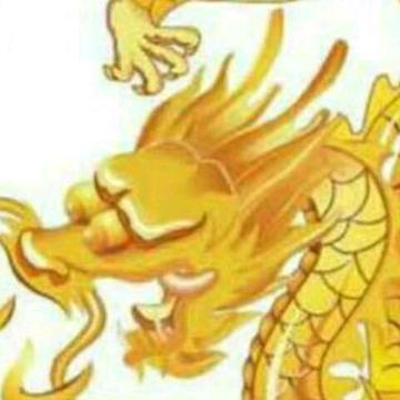用户6919252385556飞龙在天