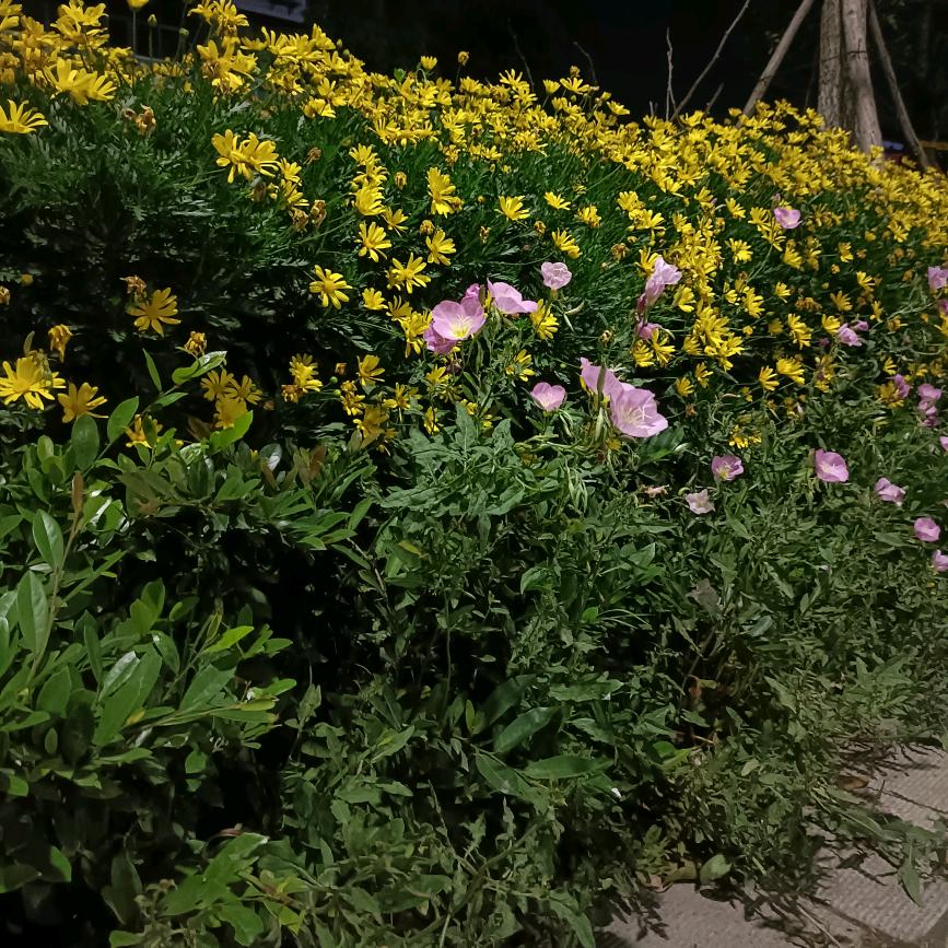 我是修车人