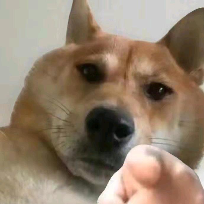 浪呀帮