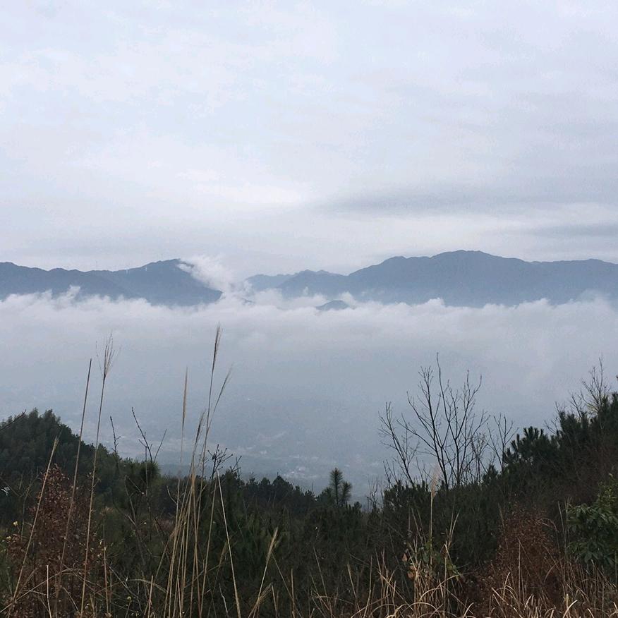 曾九哥