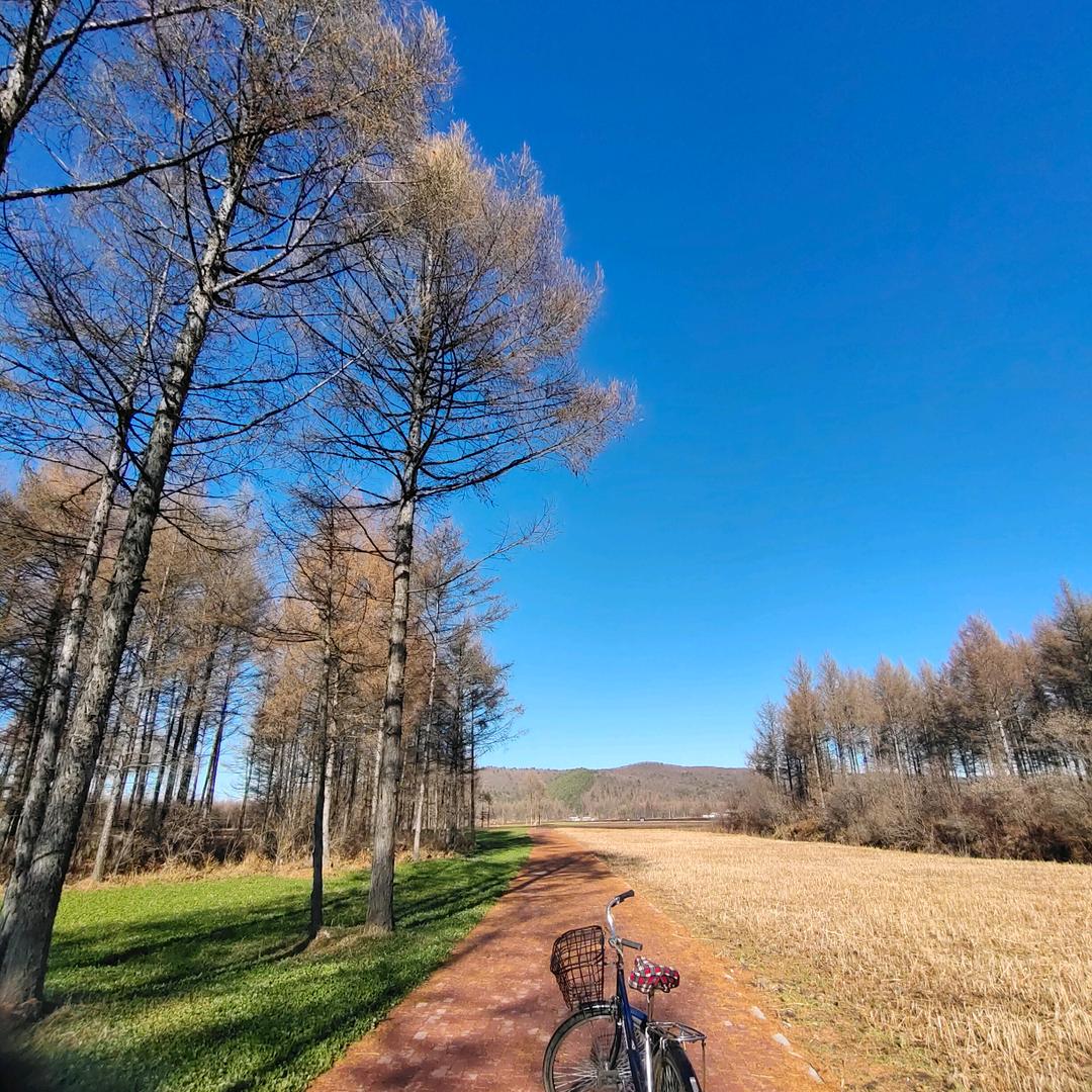 茉莉香鸭颈王丰林县店