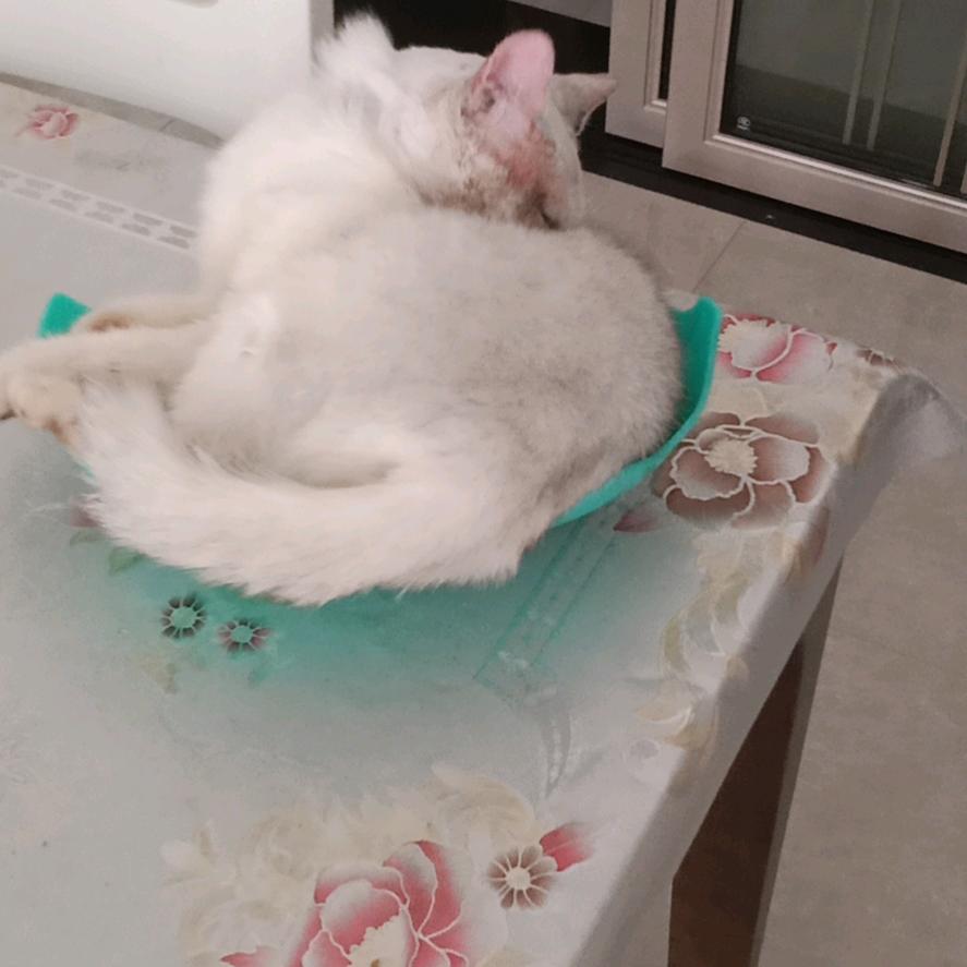 红尘中一粒尘