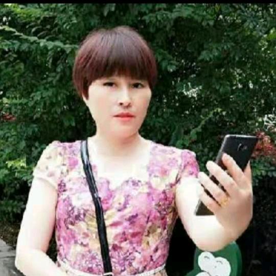 凤云天下