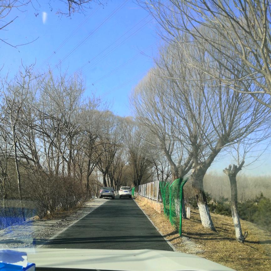 米兜兜